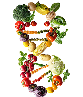 Improves Nutrient Status