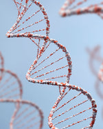 Gene Test kit for DNA analysis