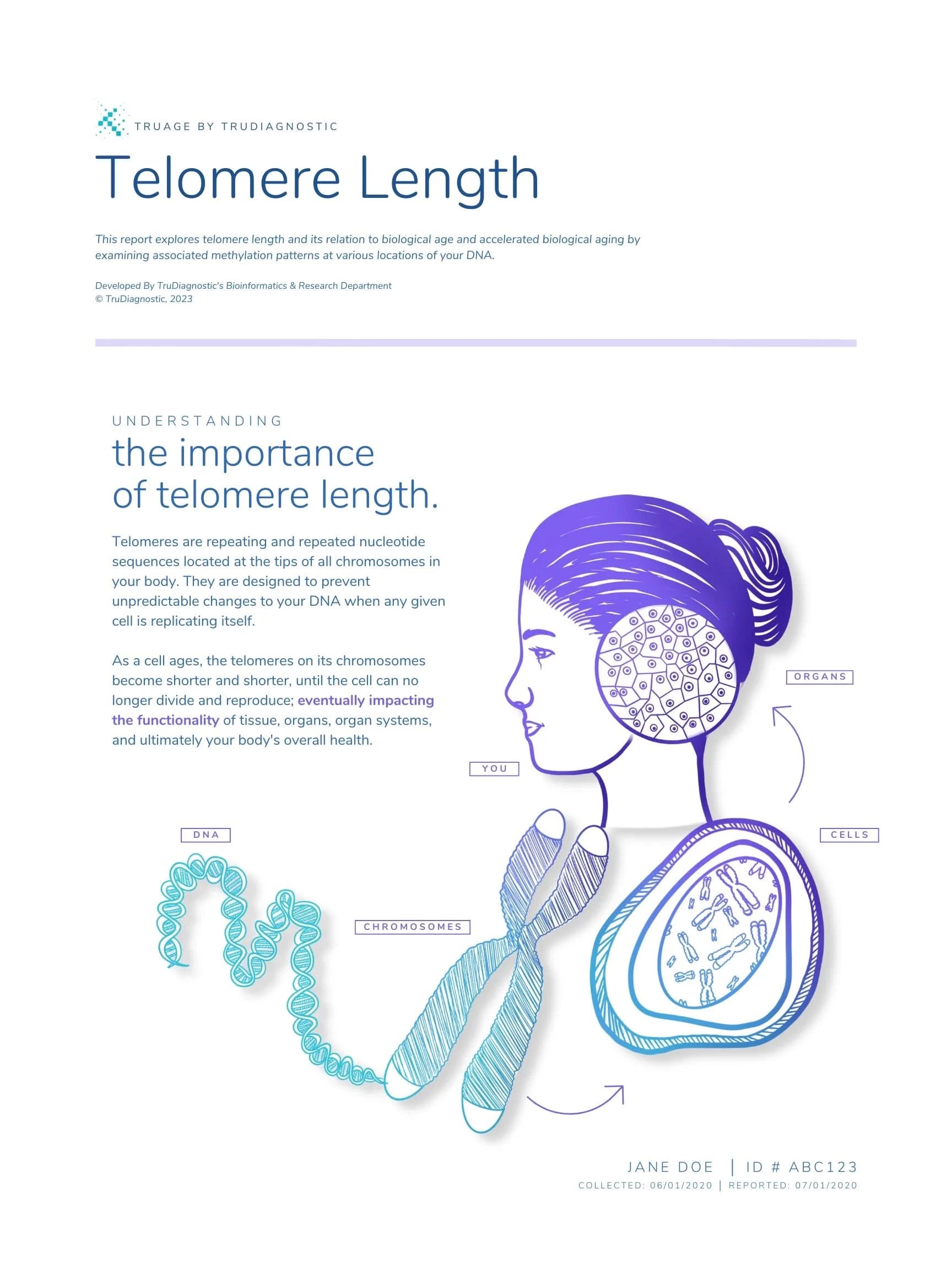 Epigenetic Age Testing kit for advanced biological age assessment0