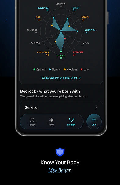The LifeOS app on a phone, showing a health radar chart